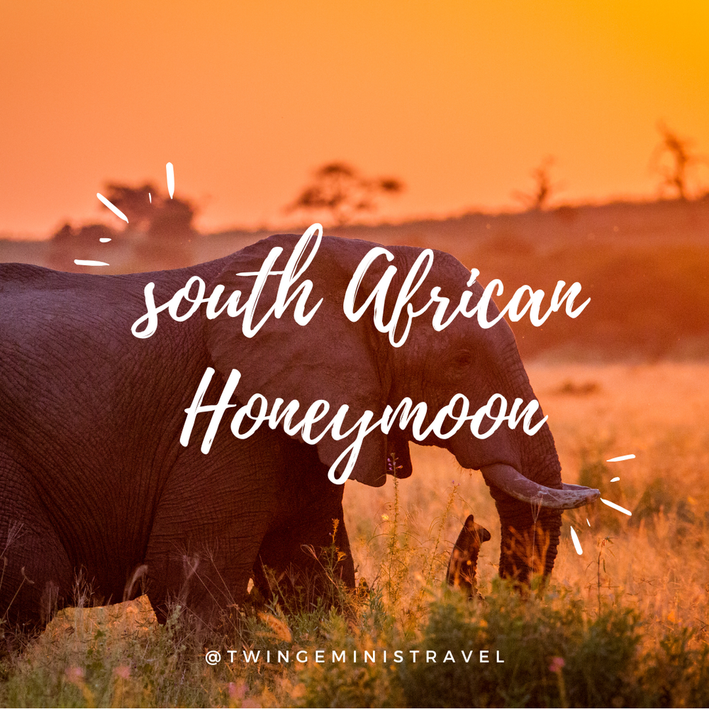 South African Honeymoon